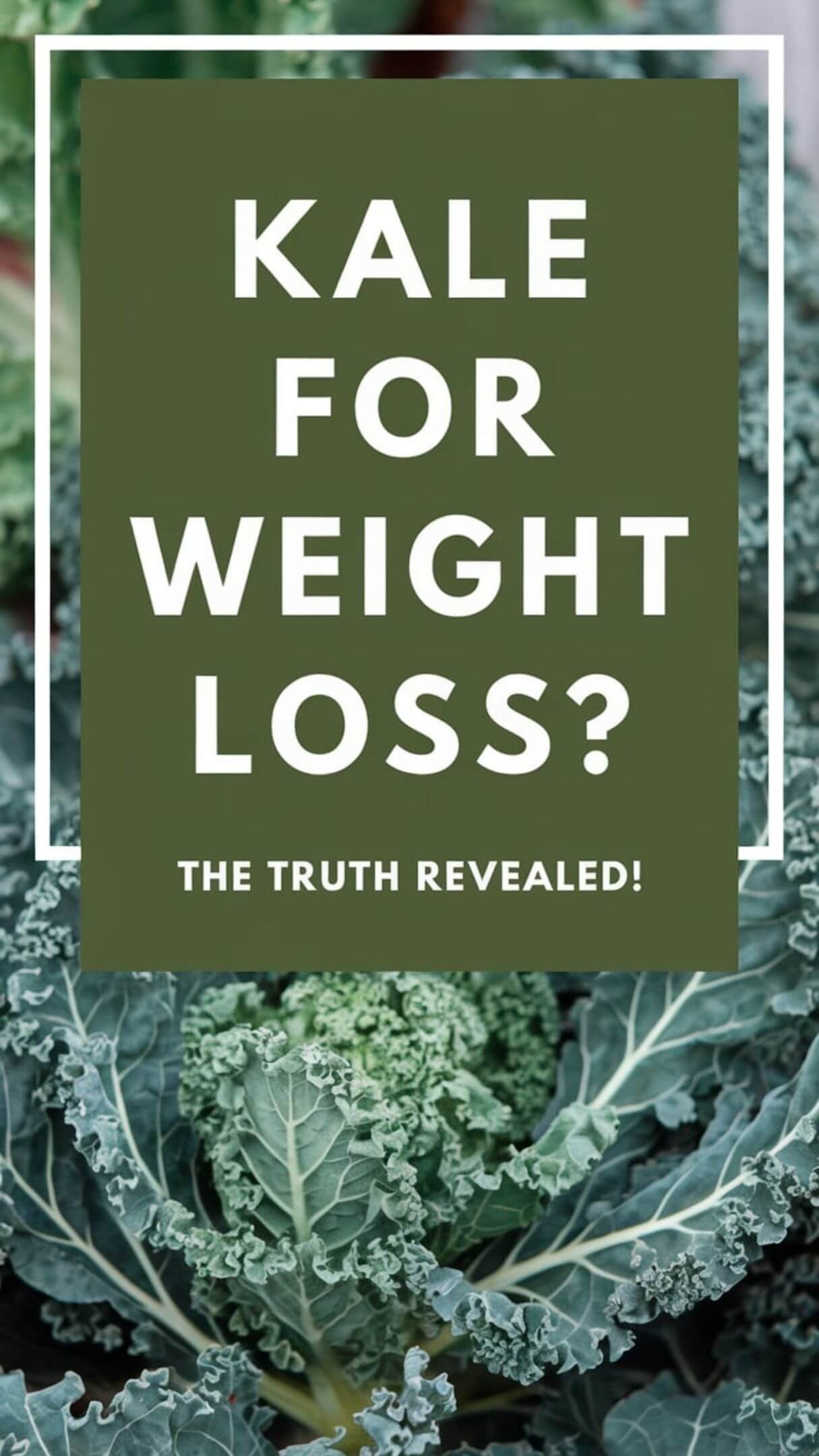 Kale is a low-calorie, high-fiber superfood that helps reduce bloating, curb cravings, and boost metabolism. Whether in a smoothie, salad, or soup, kale is a must-have for any healthy diet plan! 